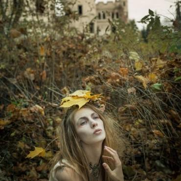 Фотография #400002, , автор: Алина Косуля