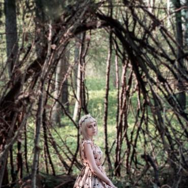 Фотография #400026, , автор: Елизавета Курлык