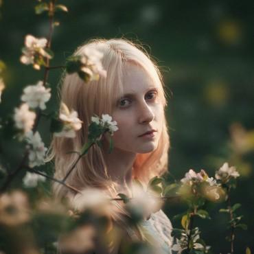 Фотография #400036, , автор: Елизавета Курлык