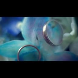 Видео #399579, автор: Дмитрий Зимин