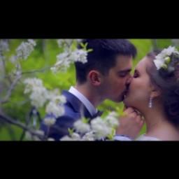 Видео #399576, автор: Дмитрий Зимин