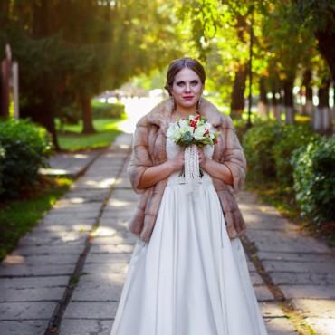 Фотография #406592, свадебная фотосъемка, автор: Владимир Пресняков