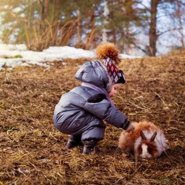 Фотография #402583, автор: Елена Миронова Фотография #402583, автор: Елена Миронова