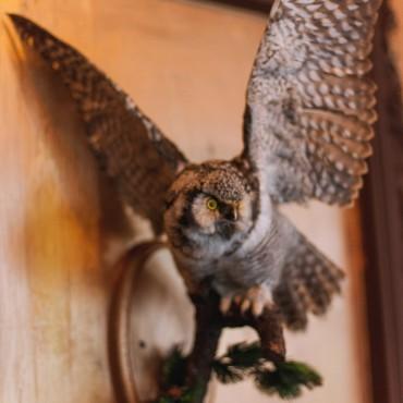 Фотография #403344, , автор: Фотостудия Rojok 