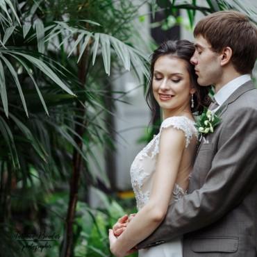 Фотография #402061, свадебная фотосъемка, автор: Татьяна Бондарь