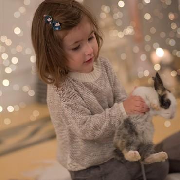 Фотография #407186, студийная фотосъемка, автор: Зоя Макарова