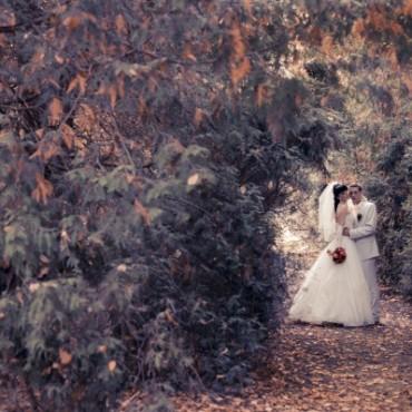 Фотография #650951, свадебная фотосъемка, автор: Дмитрий Печенкин