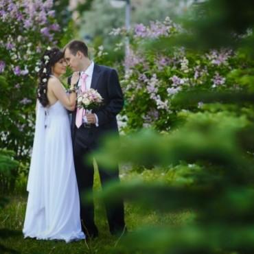 Фотография #651083, свадебная фотосъемка, автор: Ольга Ромашка