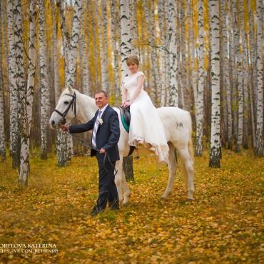Фотография #667421, свадебная фотосъемка, автор: Катерина Горелова