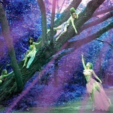 Фотография #661676, , автор: Ильсияр Габдрахманова