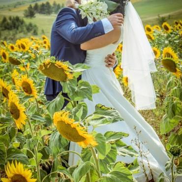 Фотография #668624, свадебная фотосъемка, автор: Кристи Раткевич