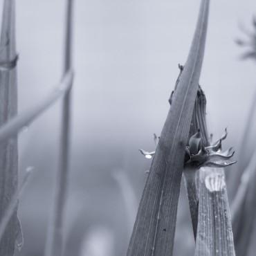 f51cfe8622aaa932e57bc07eb0636bad.jpg