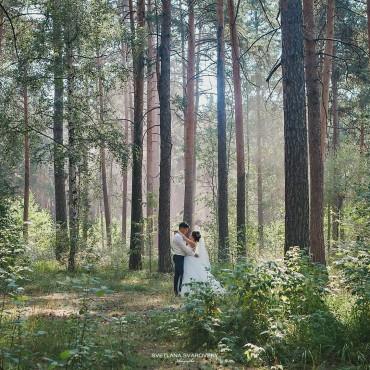 Фотография #439316, свадебная фотосъемка, автор: Светлана Сваровски