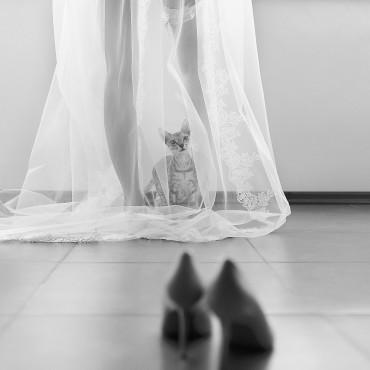 Фотография #433787, свадебная фотосъемка, автор: Светлана Зайцева
