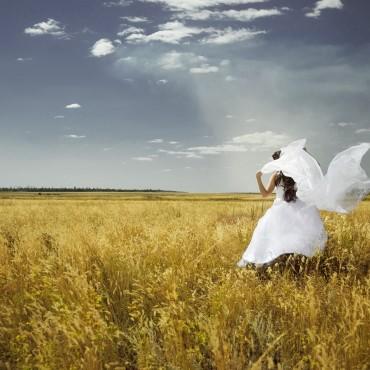 Альбом: Свадебная фотосъемка, 8 фотографий