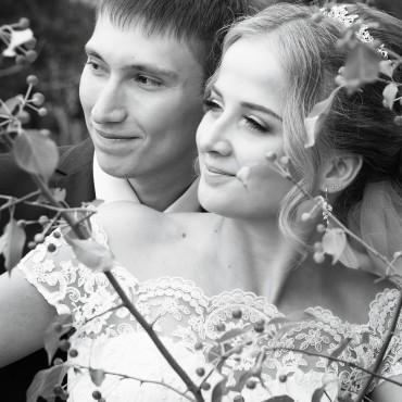Фотография #439731, свадебная фотосъемка, автор: Дарья Соколова