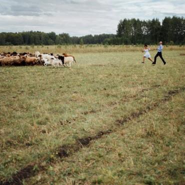 Фотография #433524, свадебная фотосъемка, автор: Виктор Савельев