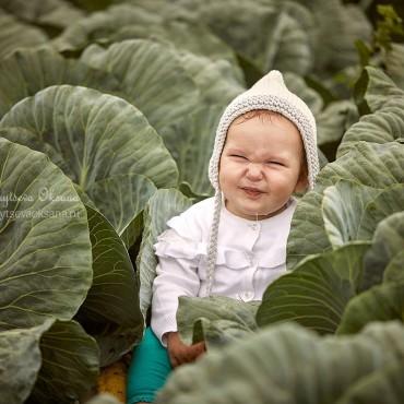 Фотография #444157, , автор: Оксана Зайцева
