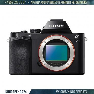 Фотография #443618, автор: Kinoarenda74  Фотография #443618, , автор: Kinoarenda74