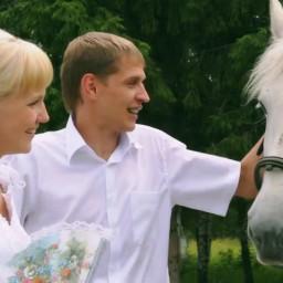 Видео #207585, автор: Олег Истомин