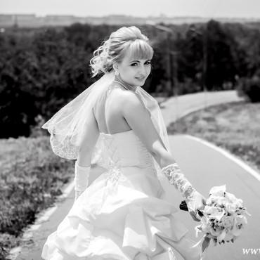 Фотография #212415, , автор: MILLENNIUM  _  FotoStudio 