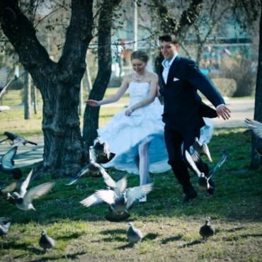 Фотография #208673, свадебная фотосъемка, автор: Станислав Трушников