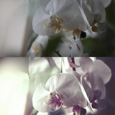 afc4d526ccfe0222a88b5878b1b481dd.jpg