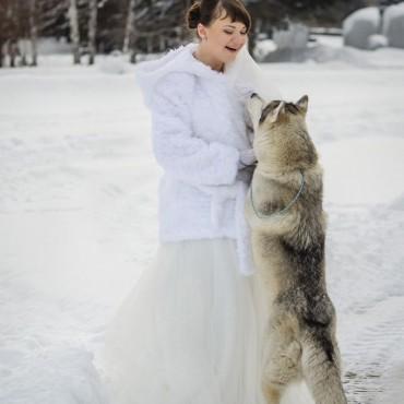 Фотография #209862, свадебная фотосъемка, автор: Екатерина Ширшова