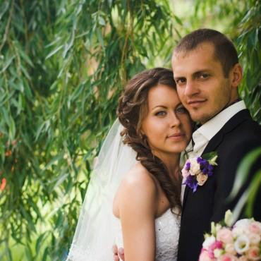 Фотография #210482, свадебная фотосъемка, автор: Дарья Васильева