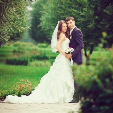 Фотография #211807, свадебная фотосъемка, автор: Наталья Постникова