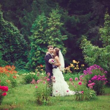 Фотография #211808, свадебная фотосъемка, автор: Наталья Постникова