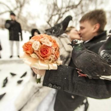 Фотография #211941, свадебная фотосъемка, автор: Денис Булыгин