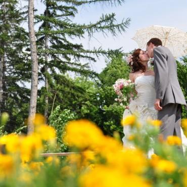 Фотография #214776, свадебная фотосъемка, автор: Кристина Юрченко
