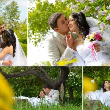 Фотография #214473, свадебная фотосъемка, автор: Кристина Юрченко