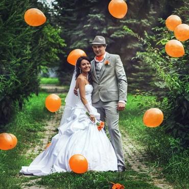Фотография #214980, свадебная фотосъемка, автор: Юлия Стогниенко