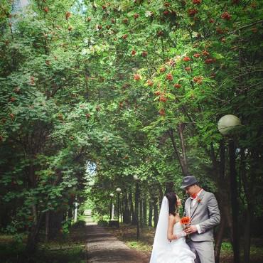 Фотография #214978, свадебная фотосъемка, автор: Юлия Стогниенко