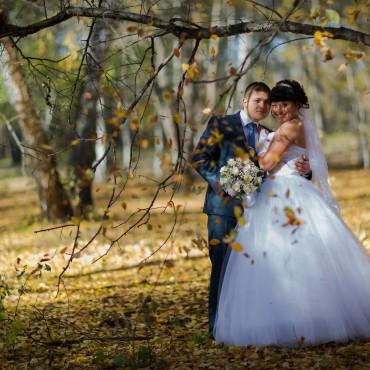 Фотография #212179, свадебная фотосъемка, автор: АлексКарина Воронины
