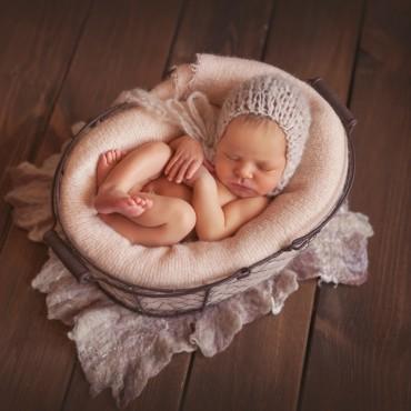 Фотография #233324, , автор: Вера Дущинская