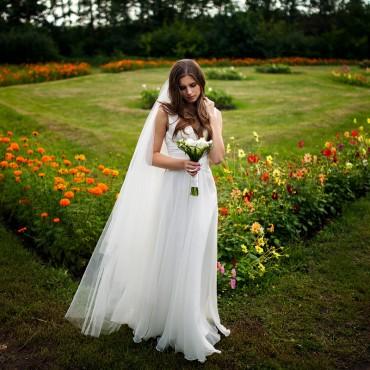 Фотография #216505, свадебная фотосъемка, автор: Дмитрий Гусев