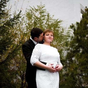 Фотография #220760, свадебная фотосъемка, автор: Елизавета Мосиенко