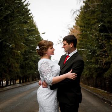 Фотография #220759, свадебная фотосъемка, автор: Елизавета Мосиенко