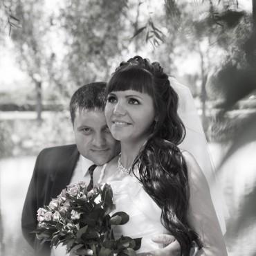 Фотография #215579, свадебная фотосъемка, автор: Лариса Черкасова