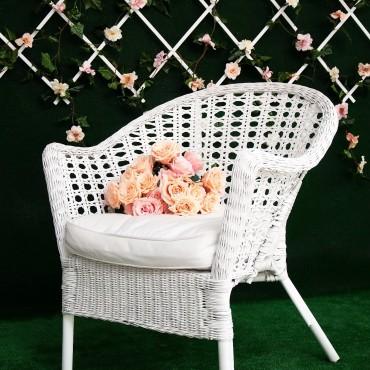 Фотография #225497, , автор: Белый кролик 