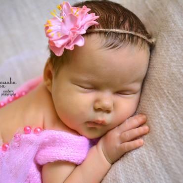 Фотография #233494, , автор: Гульмира Ракжанова