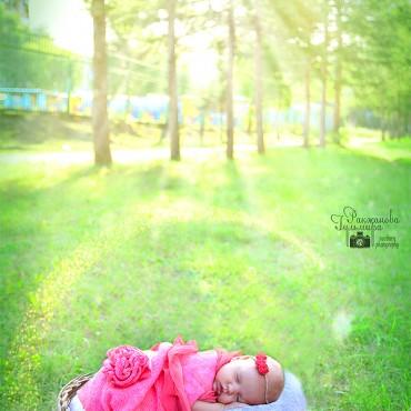 Фотография #233489, , автор: Гульмира Ракжанова