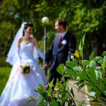 Фотография #223080, свадебная фотосъемка, автор: Софья Бочкарева