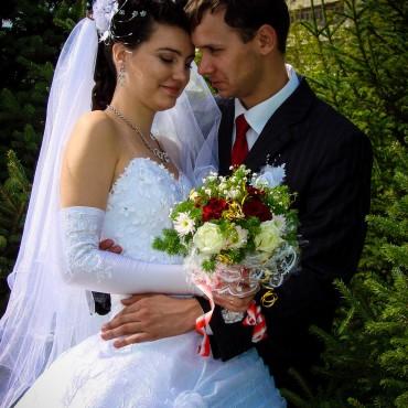 Фотография #223119, свадебная фотосъемка, автор: Софья Бочкарева