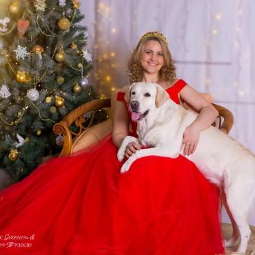 Фотография #228772, , автор: Magic Garden 