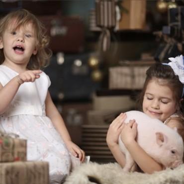 Фотография #232087, , автор: Арт- фото пространство «Съёмки» 