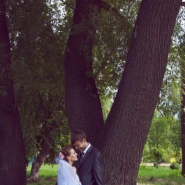 Фотография #276642, свадебная фотосъемка, автор: Татьяна Тимохина